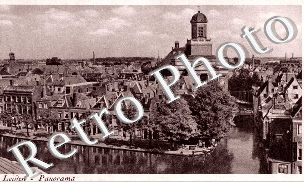 Panorama