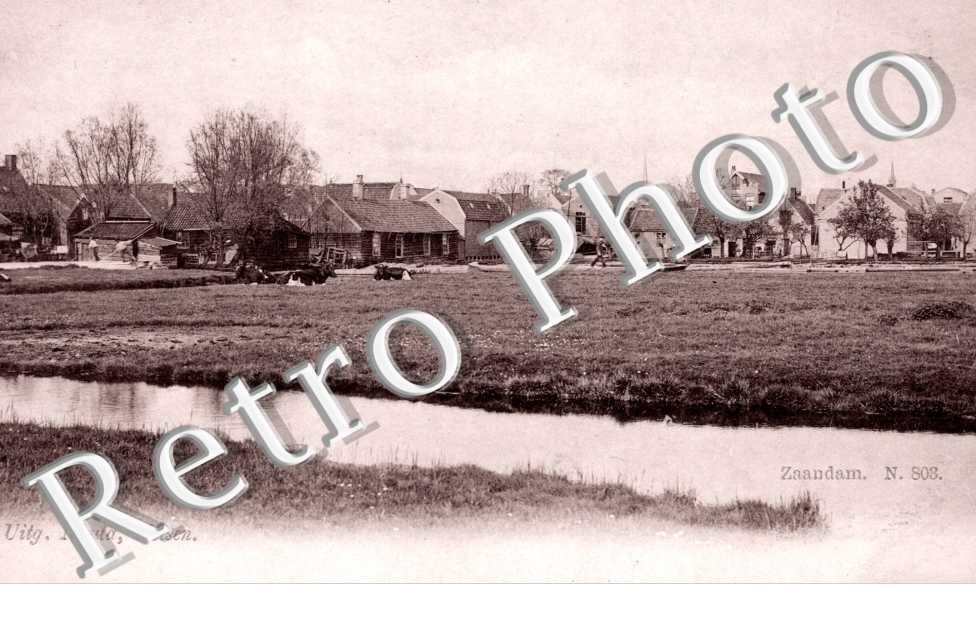 Uitg. Naula, Velsen