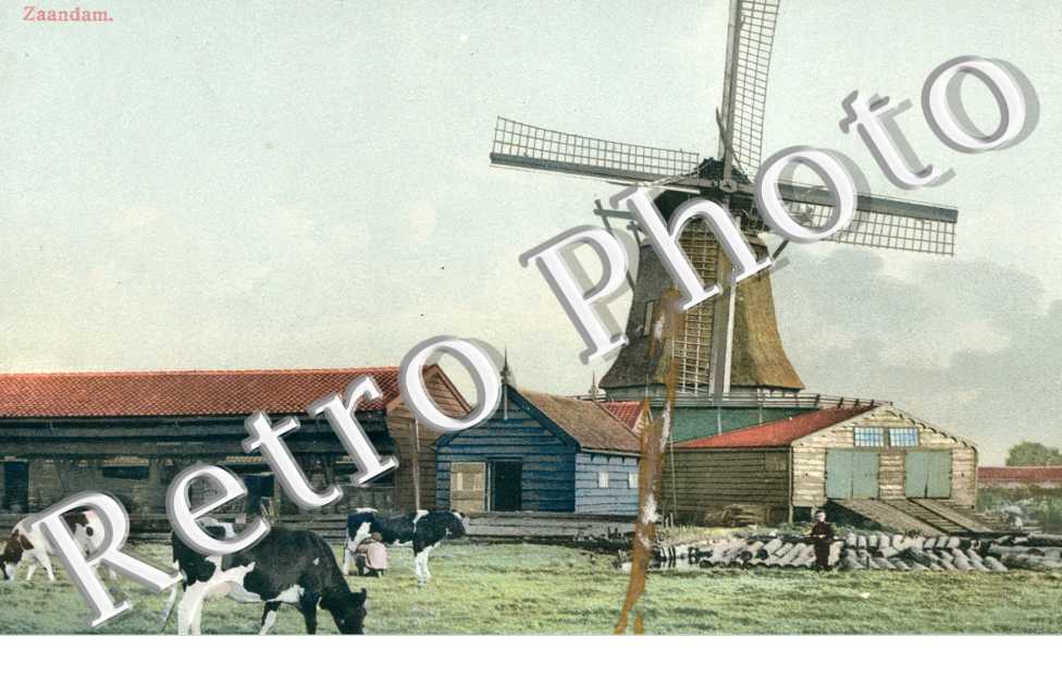 Molen
