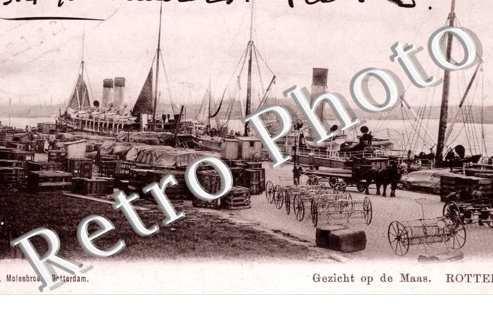 Gezicht op de Maas