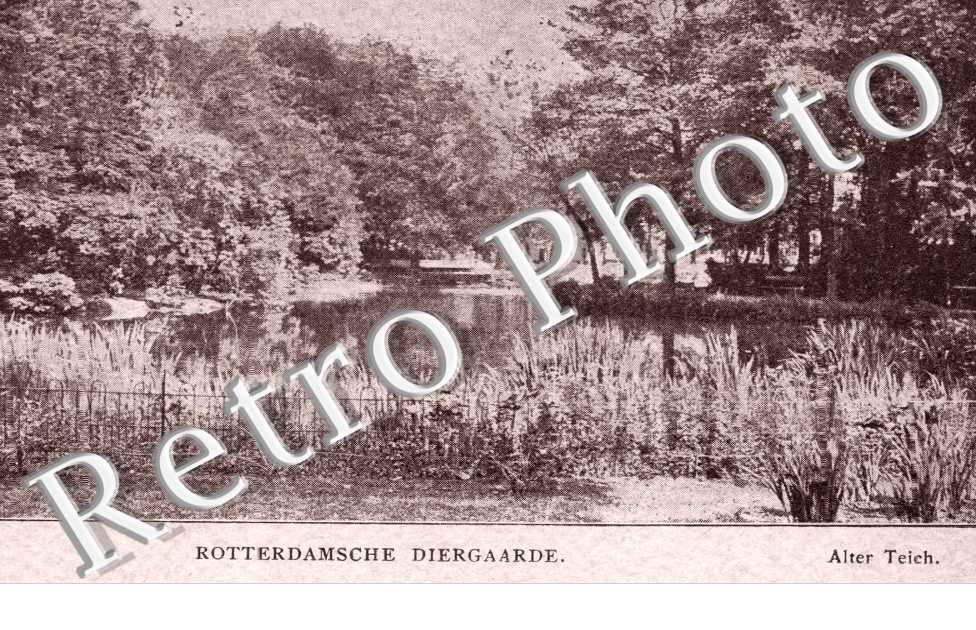 Rotterdam Diergaarde