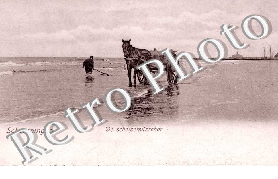 De schelpenvisscher