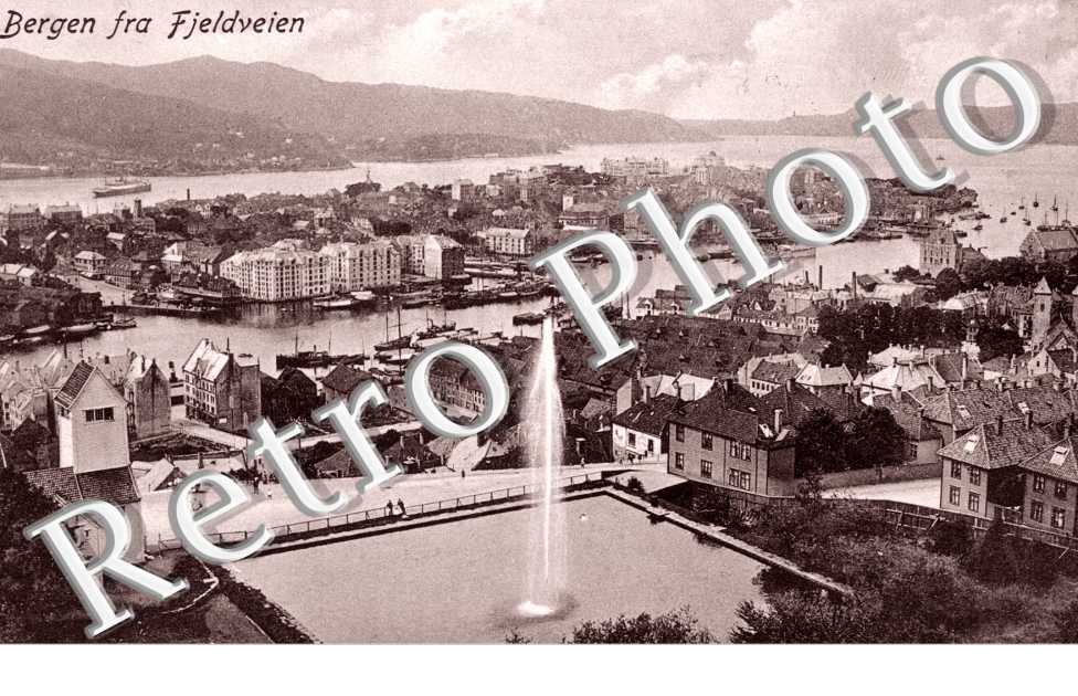 Bergen fra Fieldvein