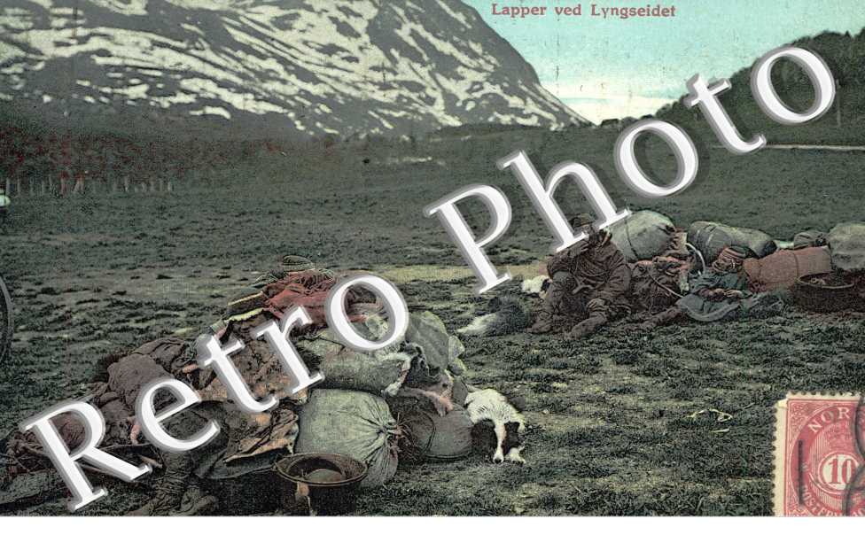 Lapper ved Lyngseidet