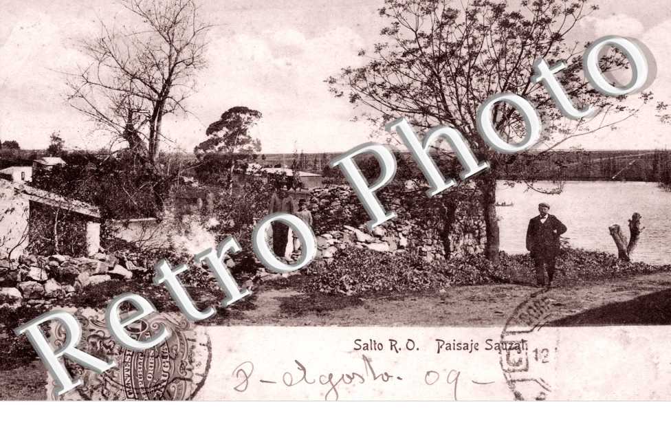 Paisaje Sauzal