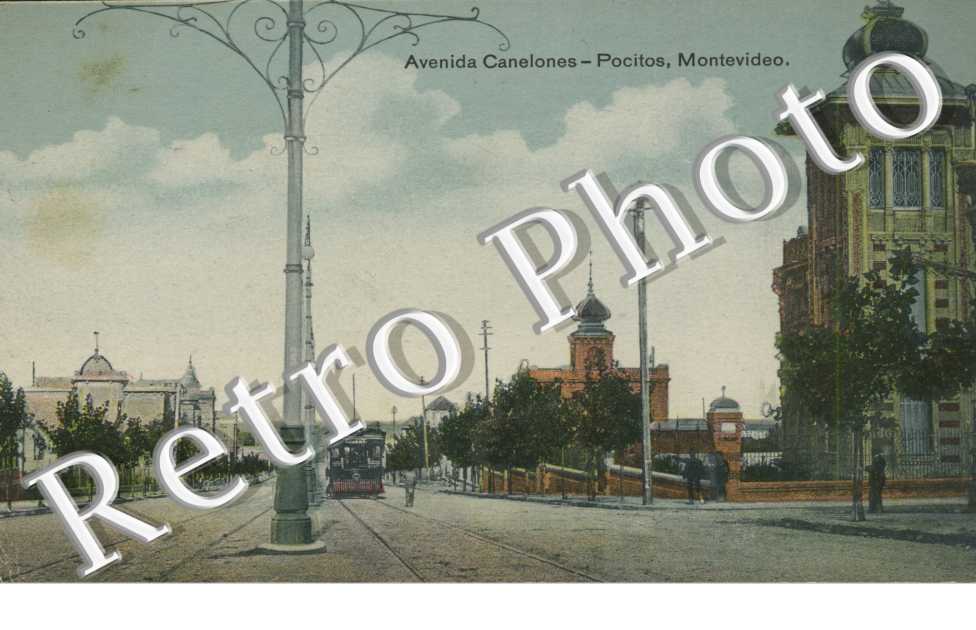 Avenida canelones