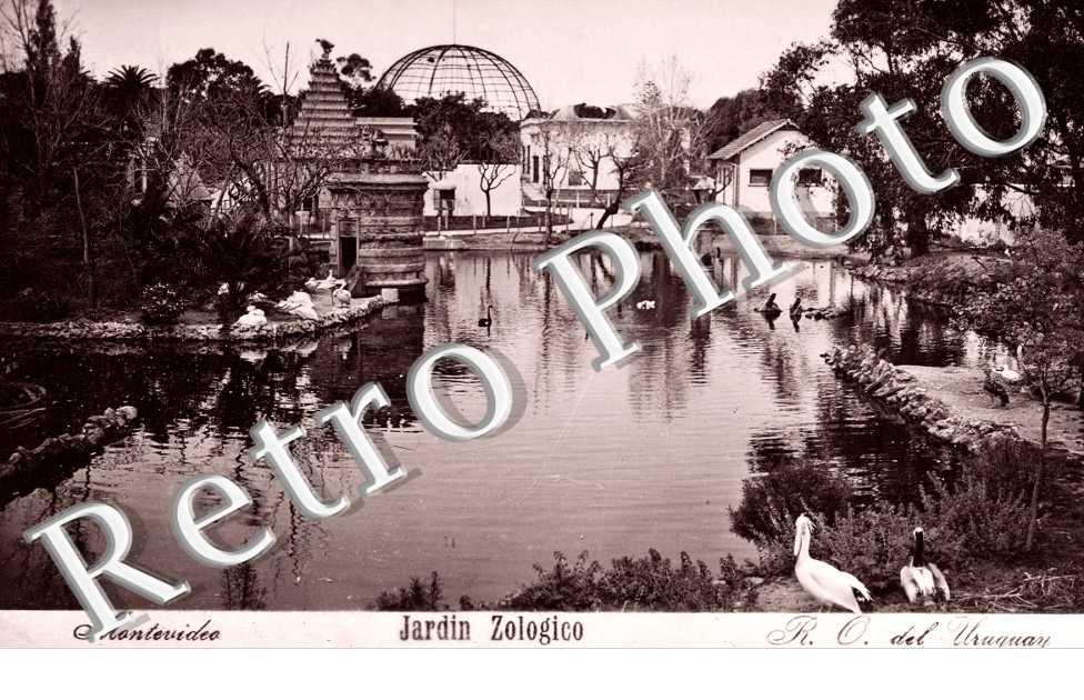 Jardin Zologico, estanque