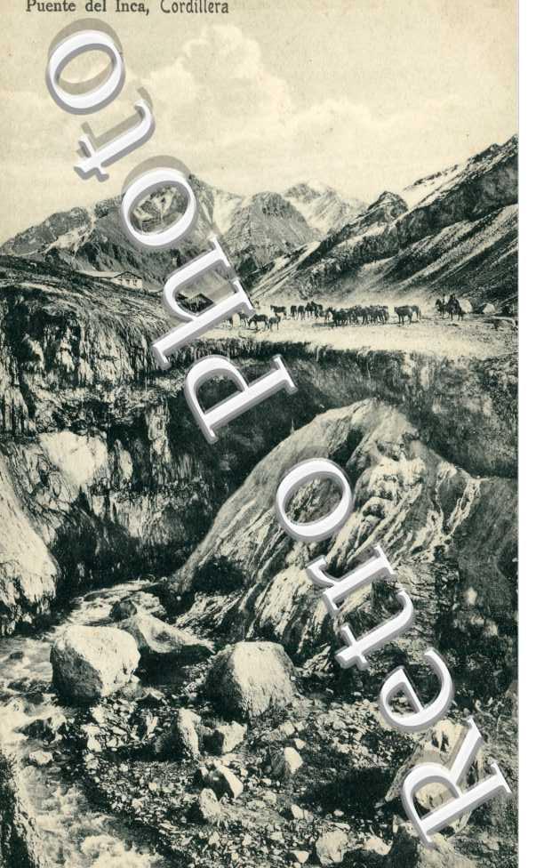 Cordilleres des Andes, Puente del Inca