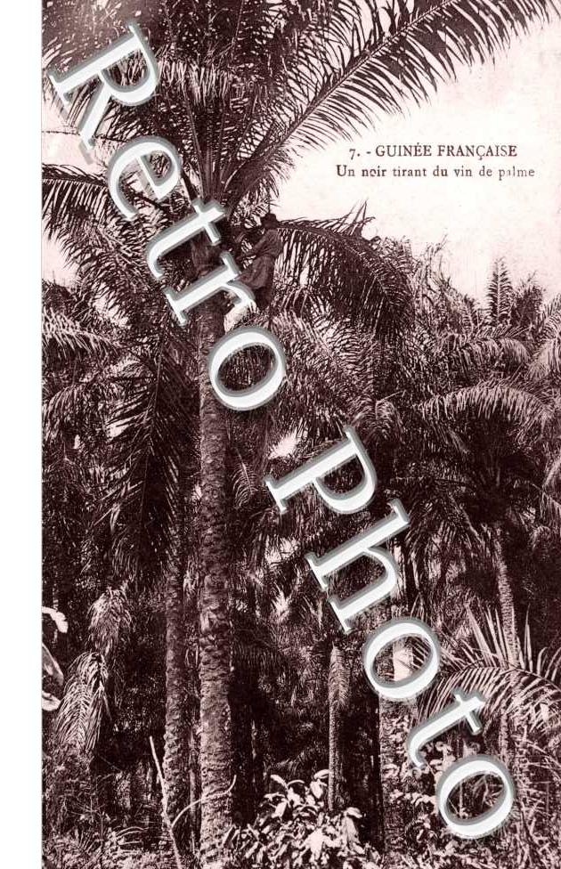 un tirant noir du vin de palme