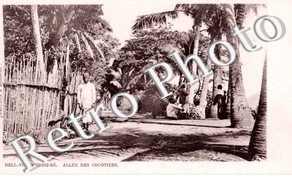 Allee des Cocotiers