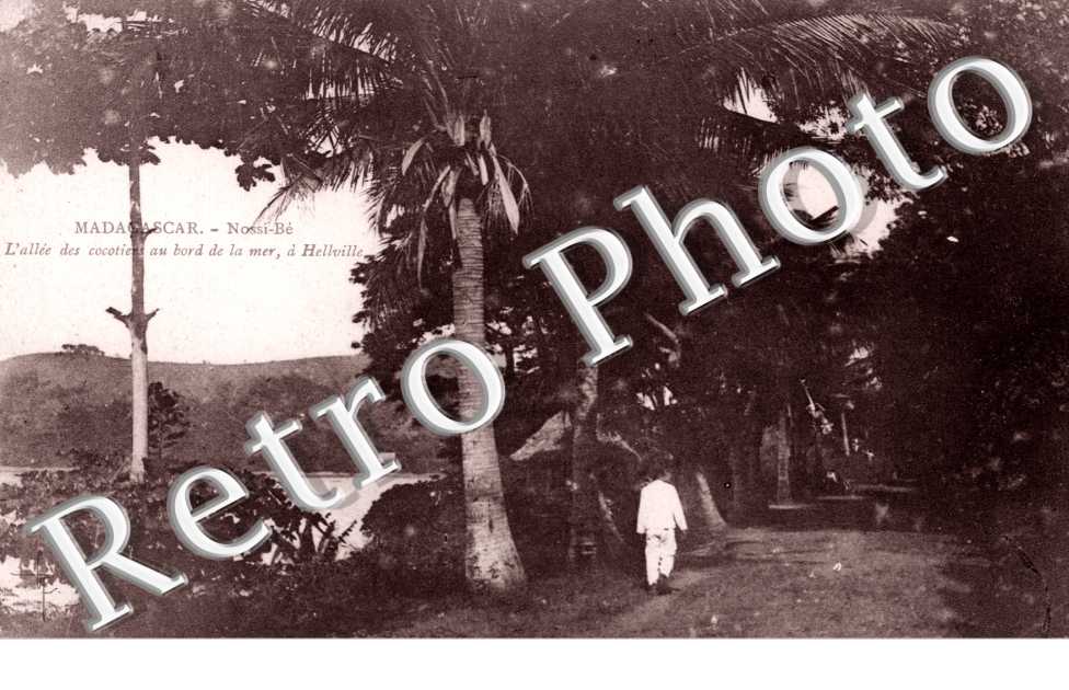 l&#039;allee des cocoties au bord de la ler a hellville