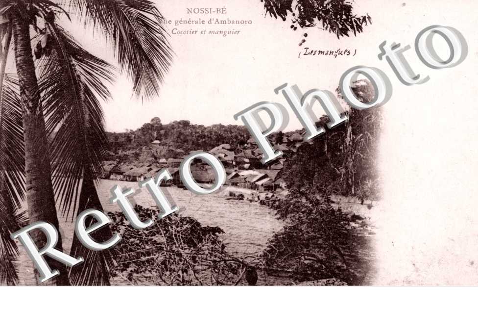Vue Generale d&#039;Ambanoro, Cocotier et Manguier