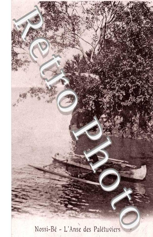 l&#039;anse des Paletuviers