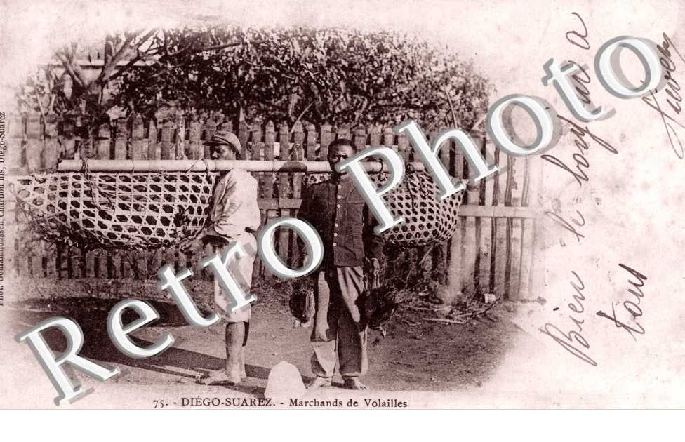 marchands de Volailles