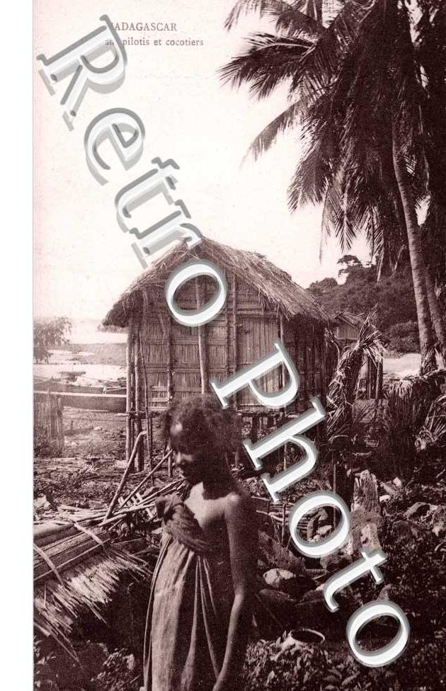 Case sur pilotis et cocotiers