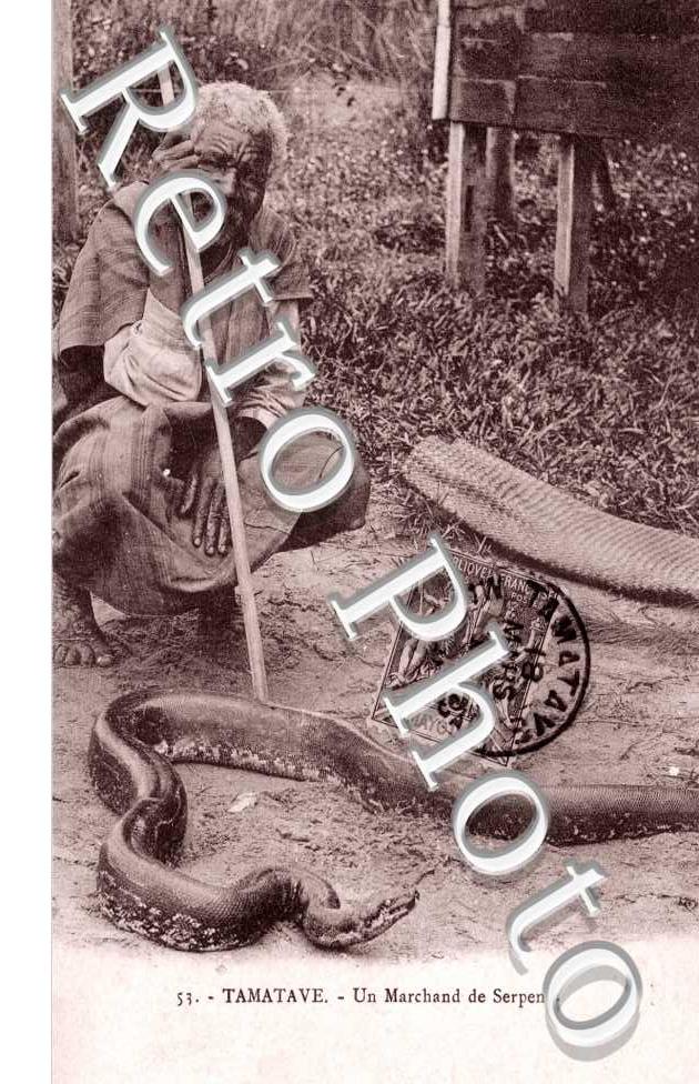 Un Marchand de Serpents