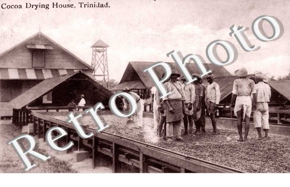 Cocoa Drying House