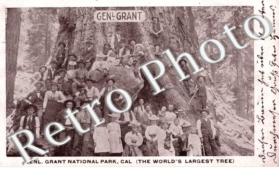Genl. Grant National Park