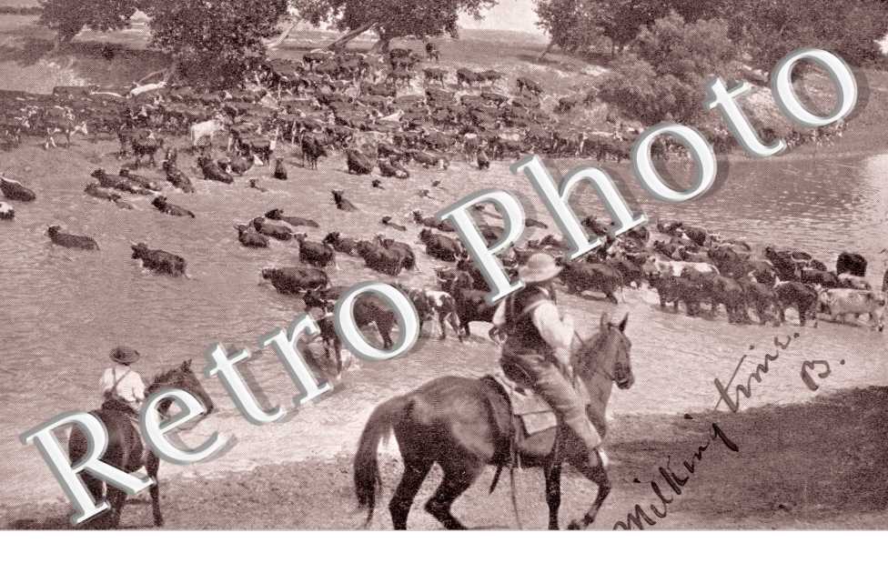Fording Milk River