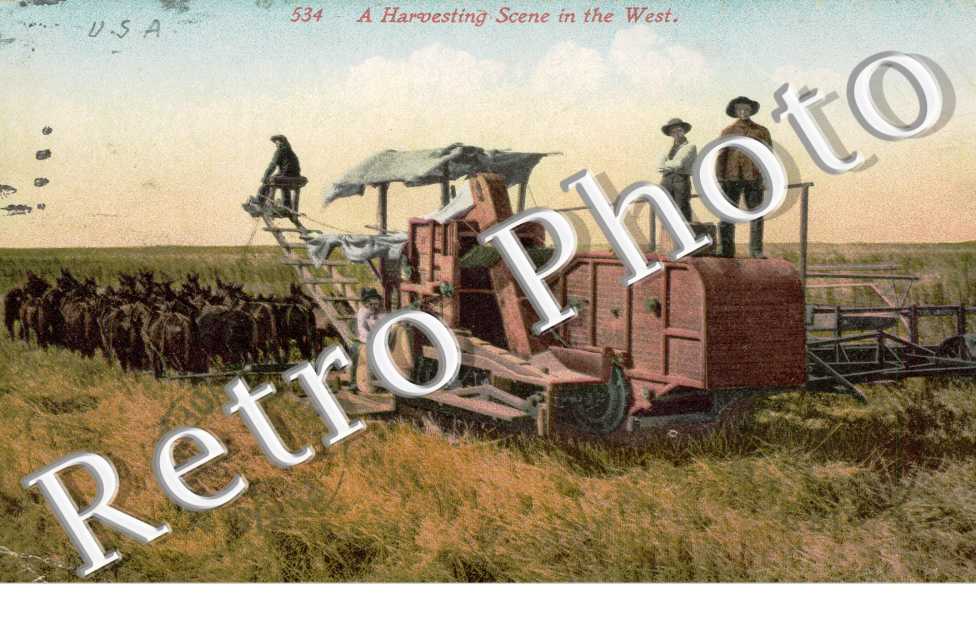 A Harvesting Scene in the West