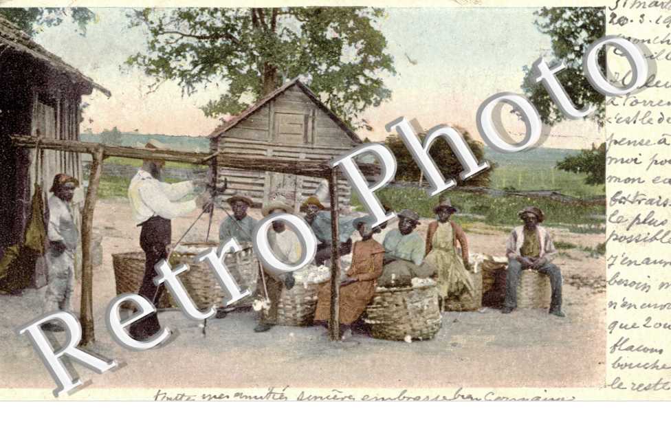 Weighing Cotton