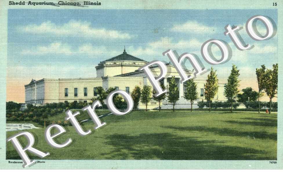 Shedd Aquarium