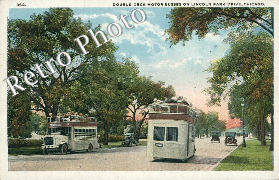 Double Deck Motor Busses on Lincoln Park drive