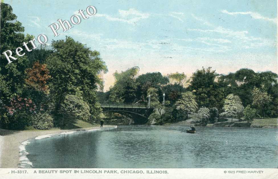 A beauty Spot in Lincoln Park