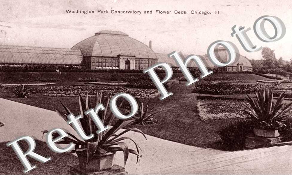 Washington Park conservatory and flower beds