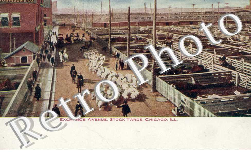 l&#039;Exchange avenue, Stock yards