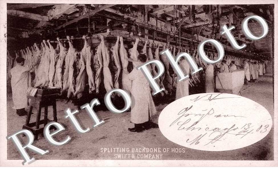Splitting Backbone of Hogs, Swift and Company