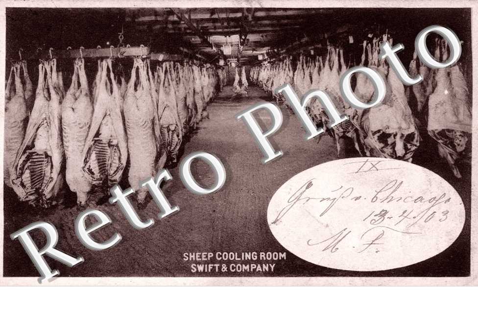 Sheep cooling room, Swift and Company