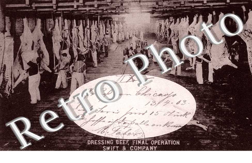Dressing beef, final, operation, Swift and Company