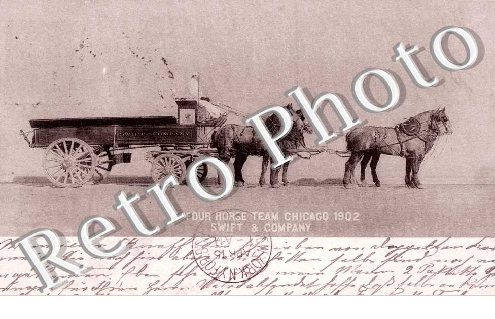 Four Horge team Chicago 1902, Swift and Company