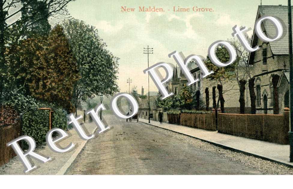 Lime Grove