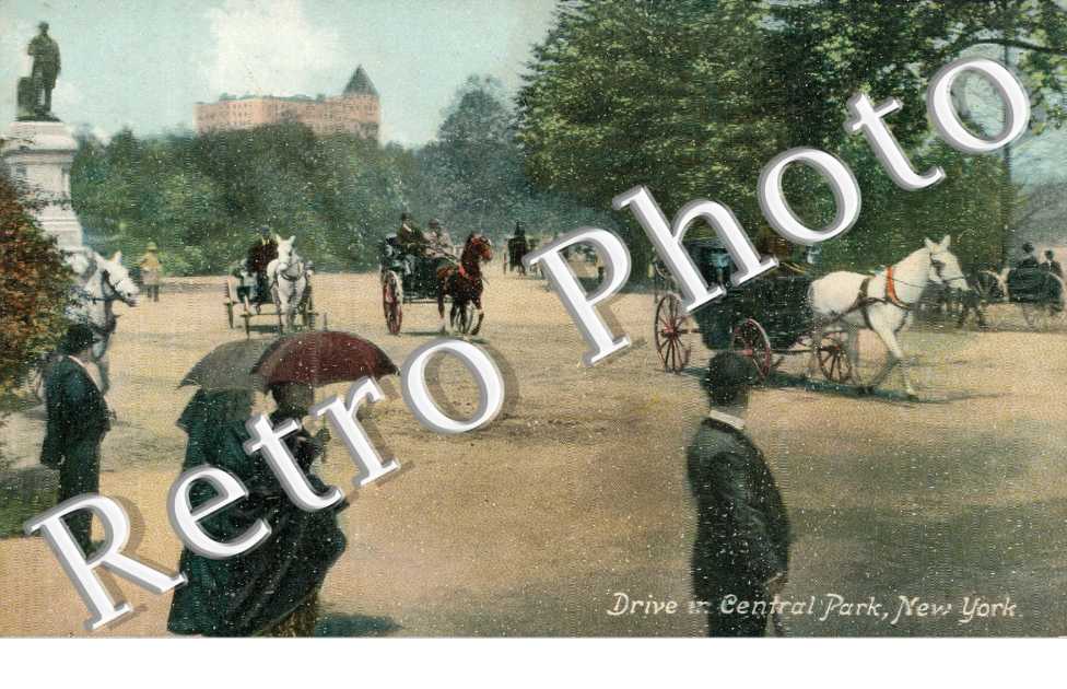 Drive in Central Park