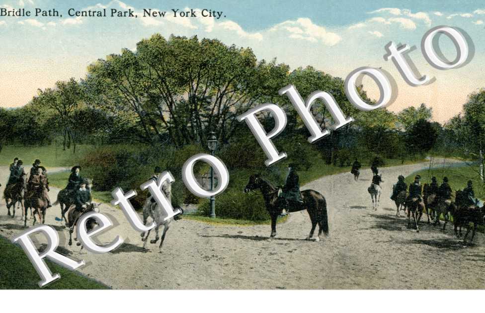 Bridle Path, Central Park
