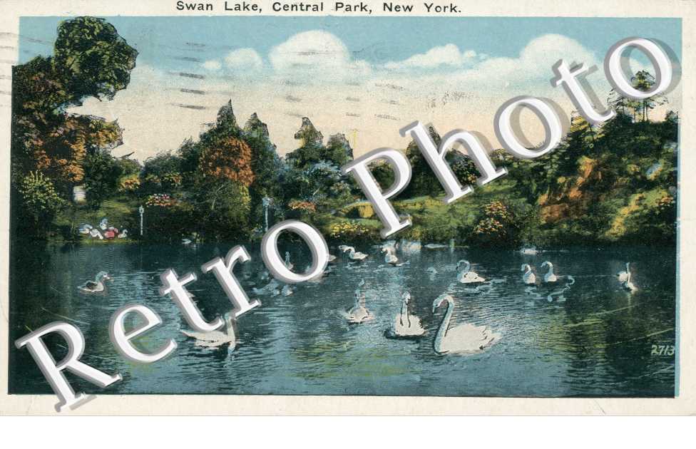 Swan Lake in Central Park