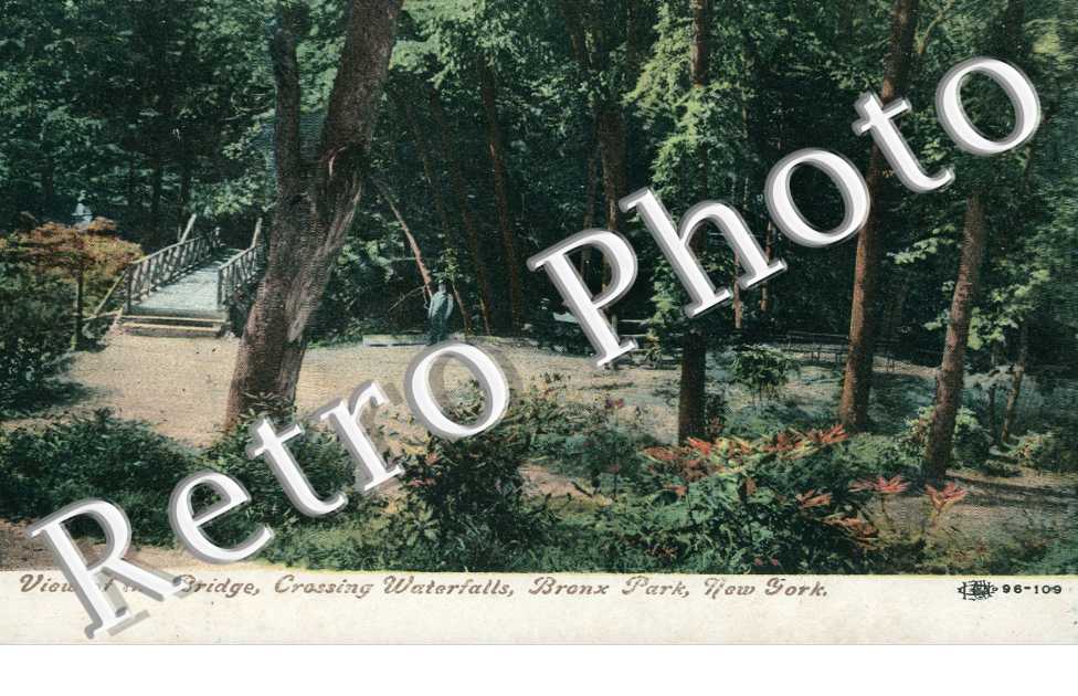 Bronx Park View of the Bridge Crossing Waterfalls