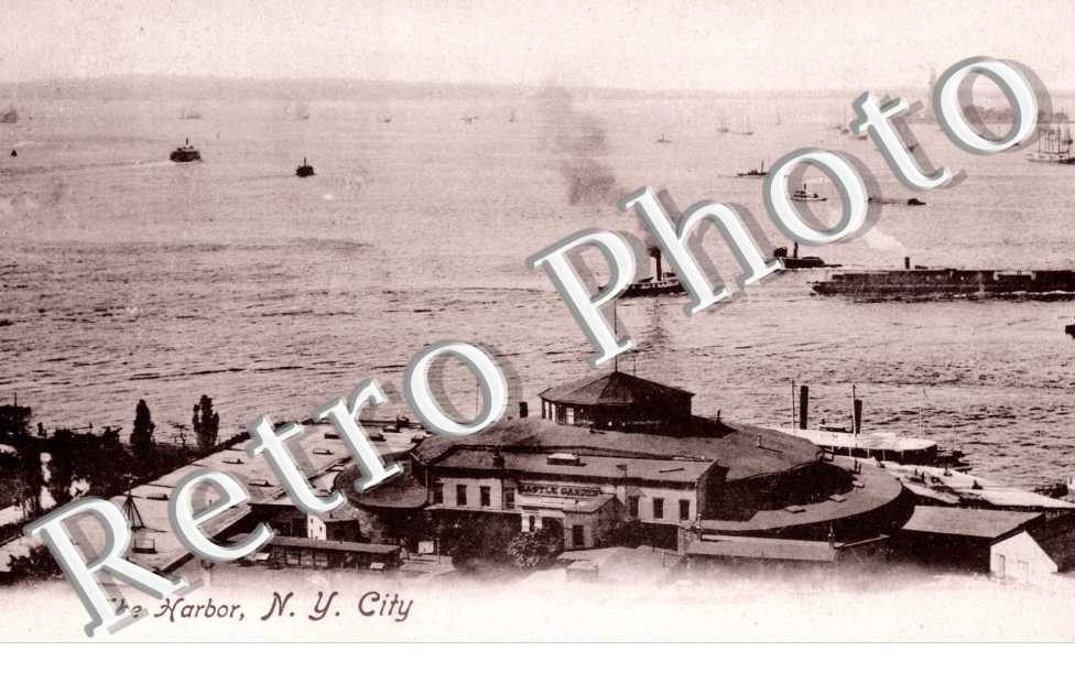 the Harbor