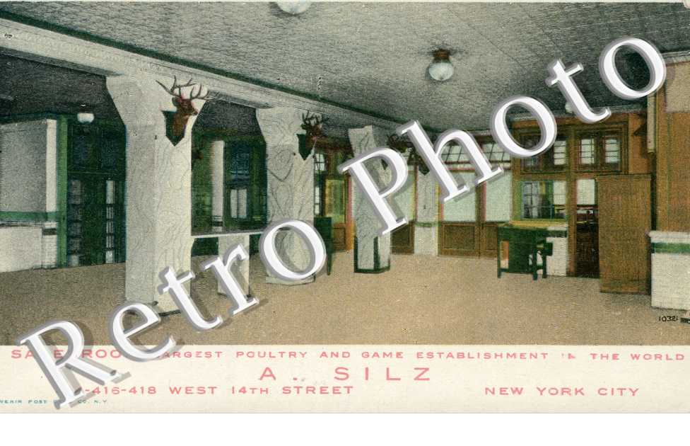 Salesroom Margets Poultry and game establishment in the world  A. Silz