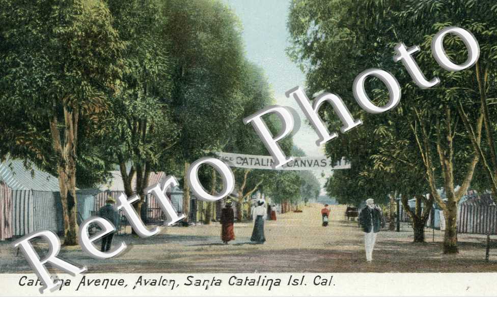 Catalina Avenue, Avalon