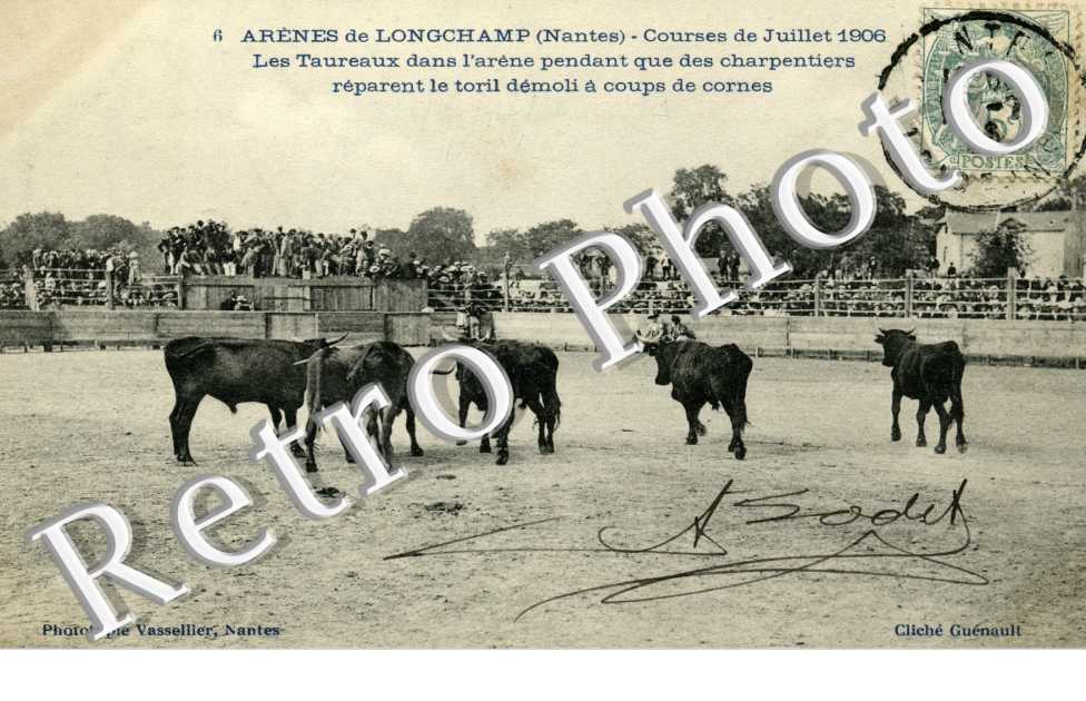 Arenes de Longchamp Courses de juillet 1906 Les taureaux dans l&#039;arebe pendant que des charpentiers reparent le toril demoli a coups de cornes.