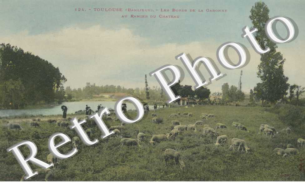 Bords de la Garonne au ramier du chateau