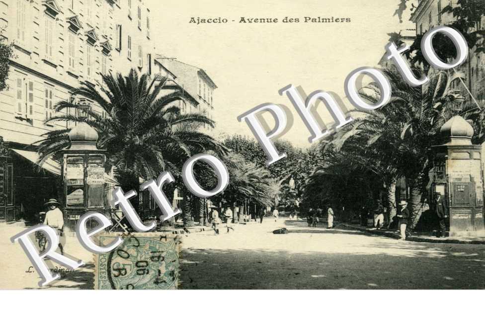 avenue des Palmiers