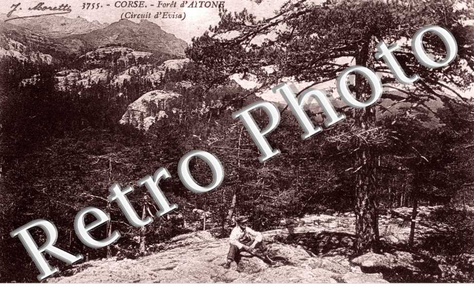 Foret d'Aitone