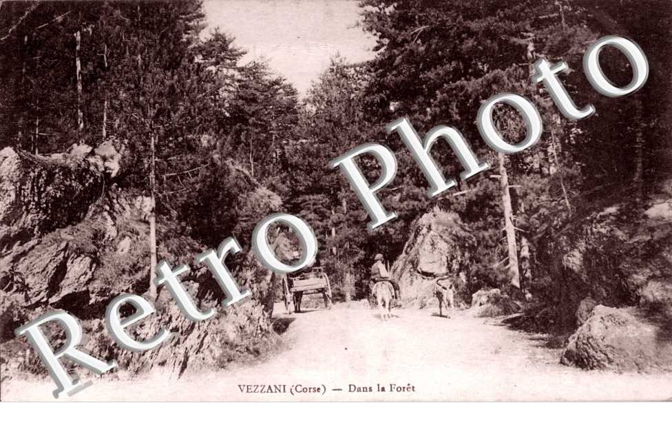 Dans la foret