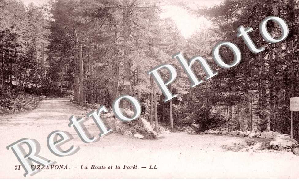 Vizzavona  La route et la foret