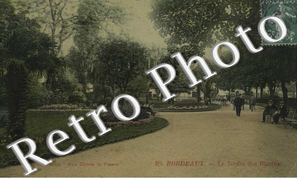 Le Jardin des Plantes