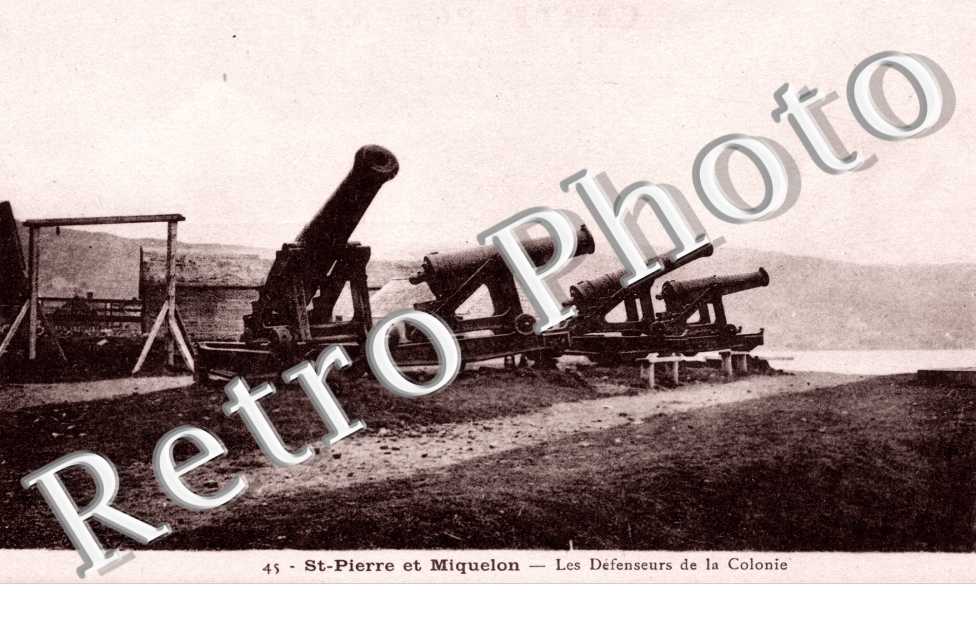 Les Defenseurs de la Colonie